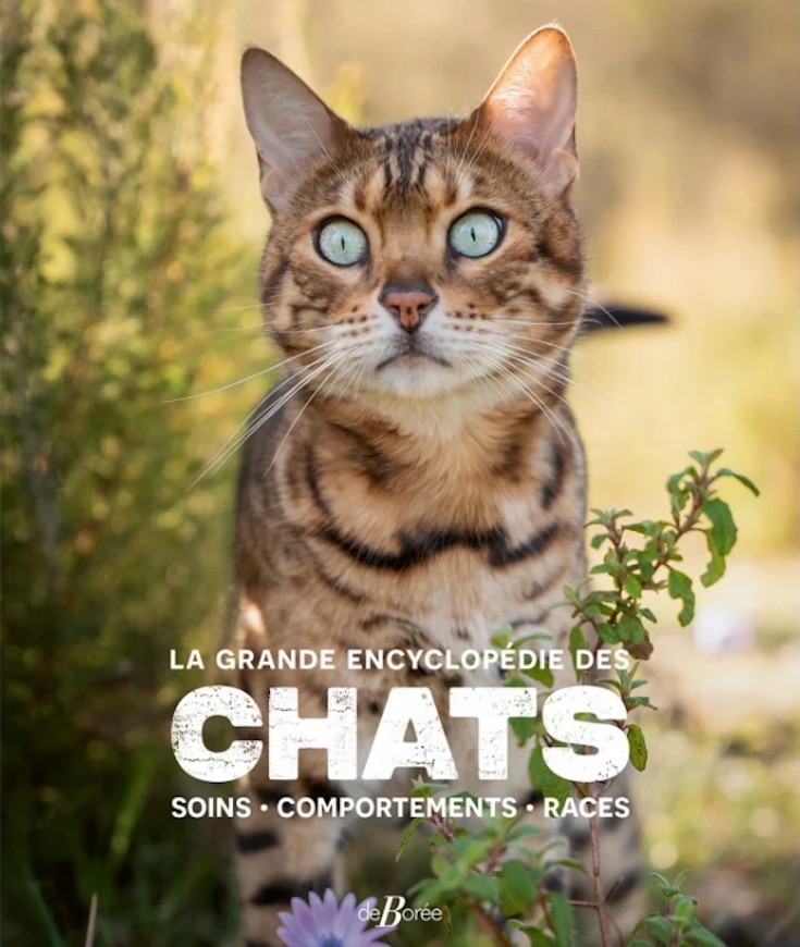 La Grande Encyclopédie des chats, le guide pour les amoureux de félins !